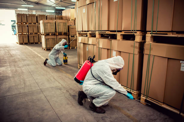 Best Best Pest Control Companies  in New City, NY