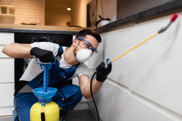 Best Residential Pest Control  in New City, NY