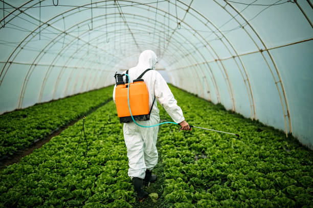 Reliable New City, NY Pest Control Solutions