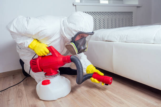 Best Termite Control Services  in New City, NY