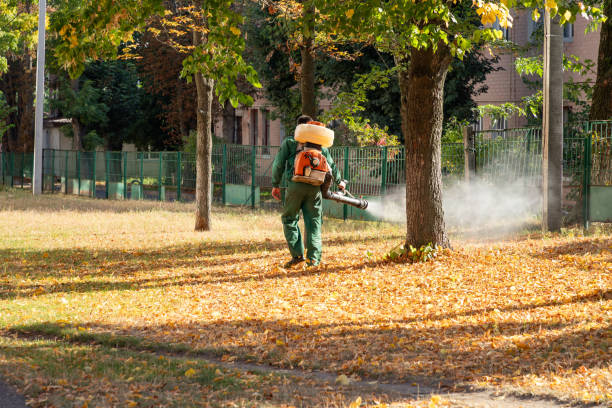 Best Affordable Pest Control Services  in New City, NY