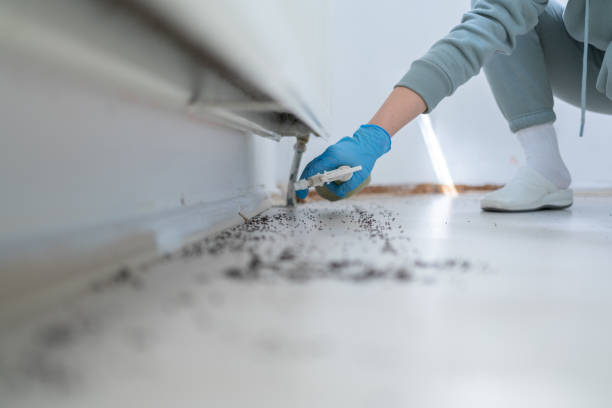Best Bed Bug Extermination  in New City, NY