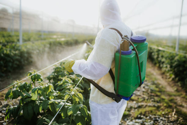 Best Affordable Pest Control Services  in New City, NY